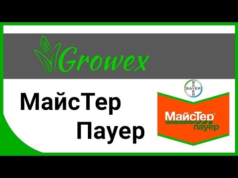 Видео: МайсТер Пауер