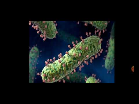 Видео: Микробиология пәніне кіріспе / Қожалимова А.А.