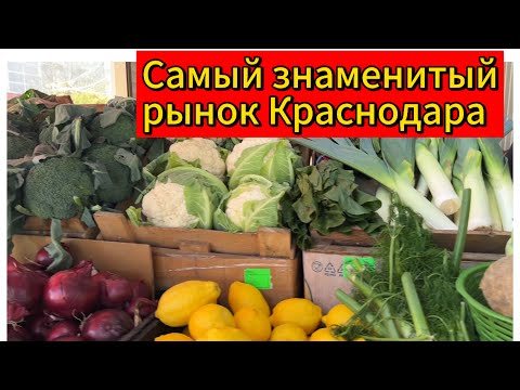 Видео: «ВОСТОЧНЫЙ РЫНОК» 🛑. ЦЕНЫ НА НАЧАЛО НОЯБРЯ.🛑1.11.25