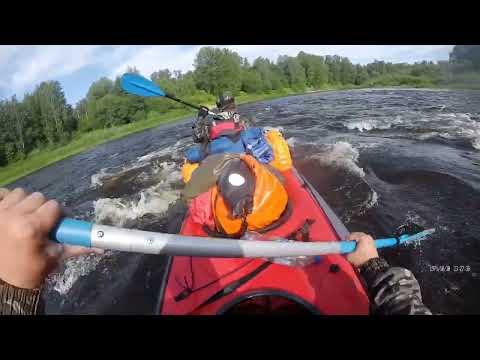 Видео: Мста. 3 ч. июнь. озеро Пирос река Березайка и мста.( Тверская и Новгородская область .