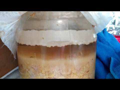 Видео: Грушевый уксус приготовился сам