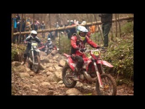 Видео: Enduro 4 SEASONS Rally Эндуро Беларусь клас В3