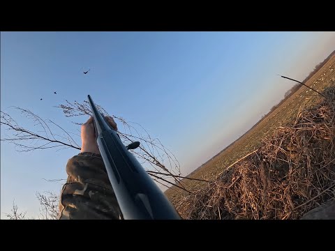 Видео: ОХОТА НА ГУСЯ! ЛУЧШИЕ МОМЕНТЫ!!!