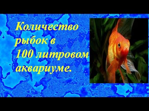 Видео: Количество рыбок в 100 литровом аквариуме.