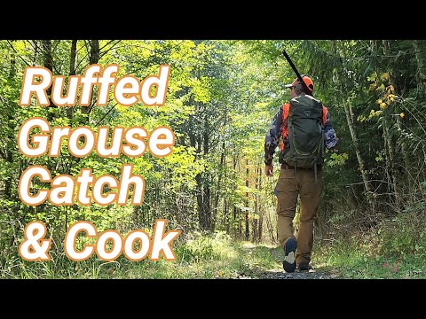 Видео: Поймать, почистить и приготовить рябчика – охота на рябчика в штате Вашингтон