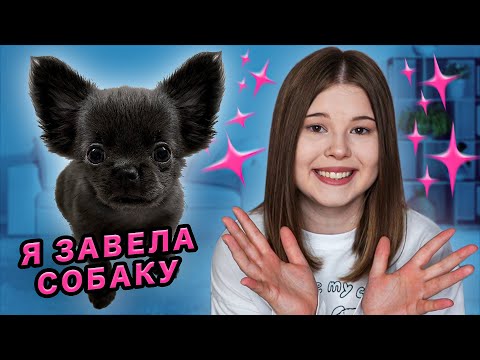 Видео: Я ЗАВЕЛА ЩЕНКА