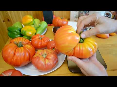 Видео: САМЫЕ ВКУСНЫЕ ТОМАТЫ ОСТАВЛЯЮ НА СЕМЕНА ЧАСТЬ ВТОРАЯ ИЗ ЛЕТНЕГО АРХИВА СЕДЬМОЙ ЭПИЗОД