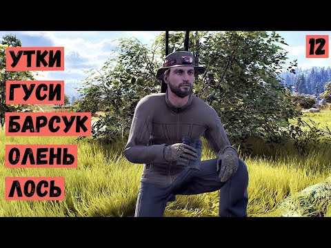 Видео: РАЗНЫЕ ТРОФЕИ  - Way of the Hunter - ВЫПОЛНЯЮ ЗАДАНИЯ # 12