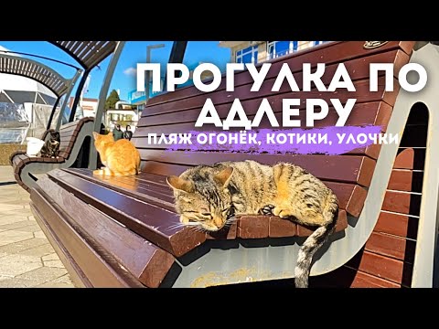 Видео: Адлер 10 февраля | Южное взморье | Пляж Огонек | Улочки