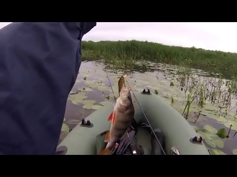 Видео: Выбор цвета вертушки. Спросим у окуня.