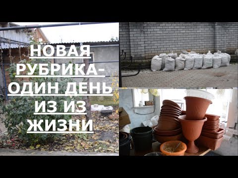 Видео: Один день из жизни/ Как готовы к зиме.