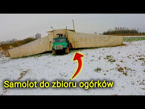 Видео: Самолет для уборки огурцов👉 У них был самый большой трактор в деревне