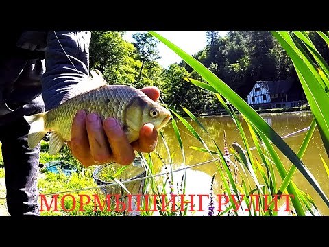Видео: Карась на МОРМЫШИНГ ЭТО ЧТО-ТО. Рыбалка в Голландии.
