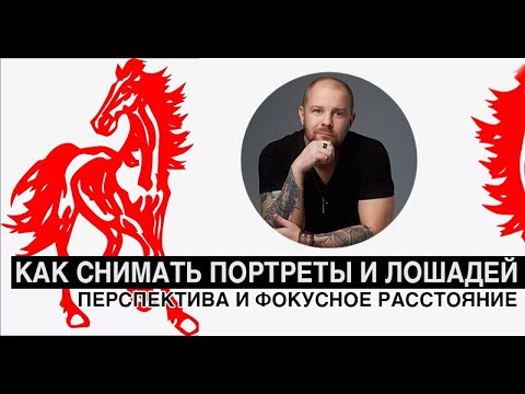 Видео: Как снимать портреты и лошадей? Перспектива и фокусное расстояние!