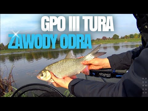 Видео: СОРЕВНОВАНИЯ ПО ПОПЛАВОЧНОЙ ЛОВЛЕ НА РЕКЕ ОДРА. ZAWODY PZW GPO WROCŁAW III TURA ODRA (LECLERC).