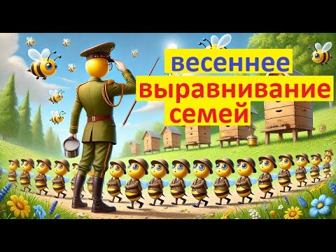 Видео: #Пчёлы. Нужно ли проводить весеннее выравнивание семей. и зачем его проводить? Может не нужно?