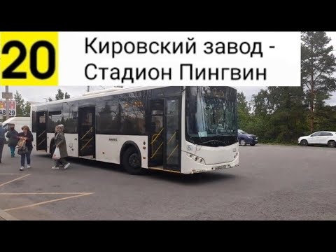 Видео: Автобус 20. Кировский завод - Стадион "Пингвин"