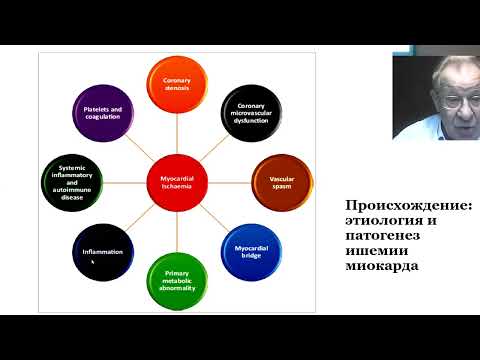 Видео: Лекция №3. ИБС. Этиология и патогенез. Ишемия миокарда. Профессор Сухов В.К.
