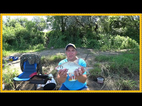 Видео: Рыбалка На Оке. Дневной Выезд