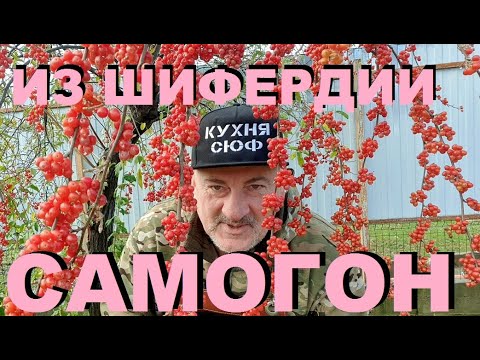 Видео: САМОГОН ИЗ ШИФЕРДИИ НА ДЕДОВОМ АППАРАТЕ. ПЕРВЫЙ ГОН. РЕЦЕПТЫ СЮФ