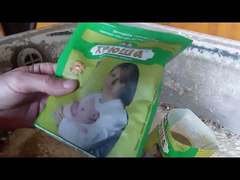 Видео: Комбикорм для поросят / как мы его готовим /