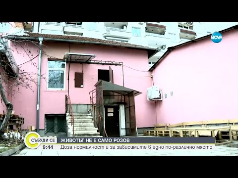 Видео: Розовата къща: Доза нормалност за зависимите в едно по-различно място - Събуди се...(28.01.2024)