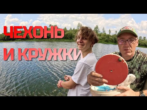Видео: Чехонь на поплавок и кружки .