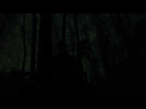 Видео: воспоминания за октябрь 2025