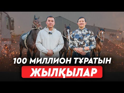Видео: Көкпарда кедейлер жоқ. Өзбектер 1 млрд теңгенің салымын тікті. Тарқышбектер деген кімдер