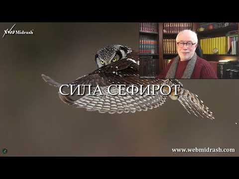 Видео: Основы каббалы. Сила сефирот @Levi Sheptovitsky