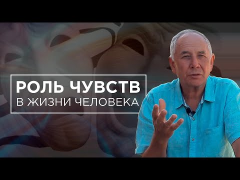 Видео: Как влияют чувства на жизнь человека и откуда берутся черты характера? Беседа с С.И. Лосевым