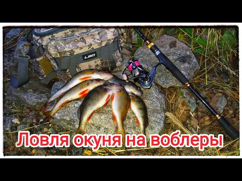 Видео: Ловля окуня на спиннинг воблерами Pantoon21