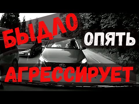 Видео: Быдло снова агрессирует! Воронеж. Выпуск №51