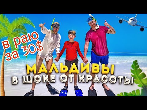 Видео: Настоящие Мальдивы за 30$. Первая встреча с акулой!