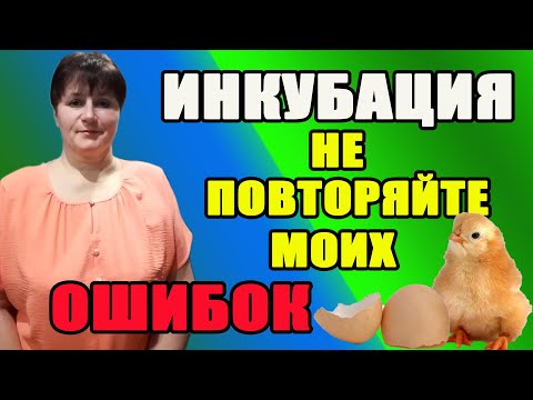 Видео: Инкубация. Самые главные ошибки инкубации.