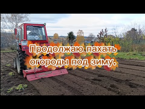 Видео: Продолжаю пахать огороды под зиму.