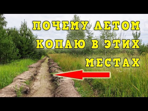 Видео: Летний коп. Каждый сезон копаю в таких местах.