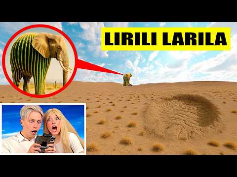 Видео: мой дрон снял LIRILI LARILA в Реальной Жизни!