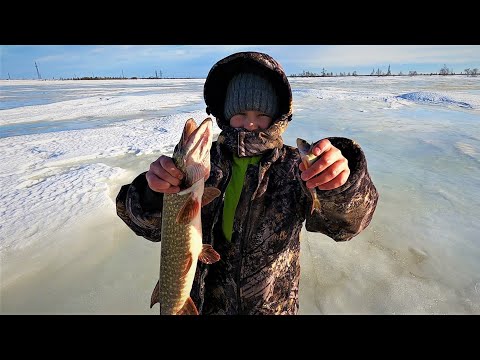 Видео: НА РЫБАЛКЕ В РЕДКИЙ ВЫХОДНОЙ, МЫ С МАКСИМОМ ДУШУ ОТВЕЛИ И НЕ ВАЖНО СКОЛЬКО РЫБЫ ПОЙМАЛИ)!