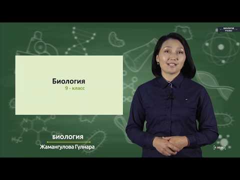 Видео: Биология - 9 класс - Селекция жана анын ыкмалары