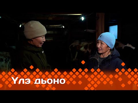 Видео: «Үлэ дьоно» (20.02.24)