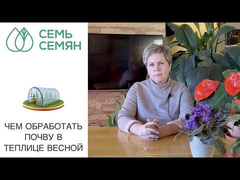 Видео: КАК ПОДГОТОВИТЬ ПОЧВУ В ТЕПЛИЦЕ К НОВОМУ СЕЗОНУ!