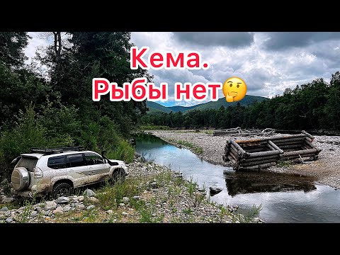 Видео: Кема.август 2025. Рыбы нет. #tunergarage #prado120 #рыбалка 