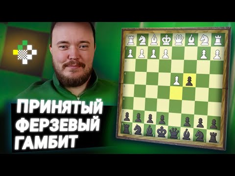 Видео: Принятый ферзевый гамбит. Дебют за час