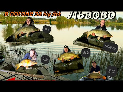 Видео: Обзор рыбалки во Львово#bigfish#обзордомиков#природа#отдых#рыбалка#семейныйvibe