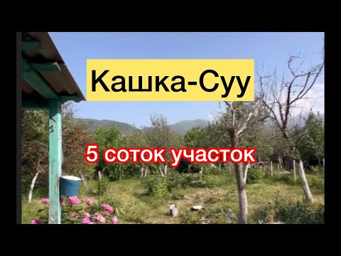 Видео: Кашка-суу 5 соток участок сатылат