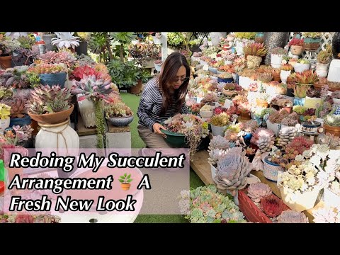 Видео: Небольшая переделка имела большое значение! 🌵