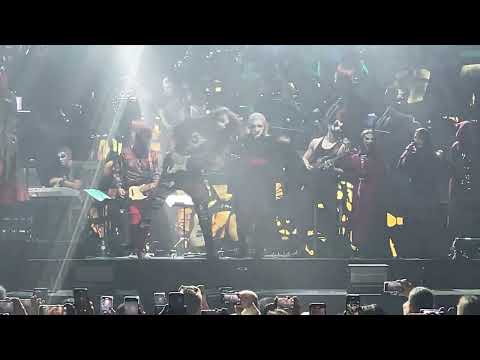 Видео: 14 Ведьма и Осел