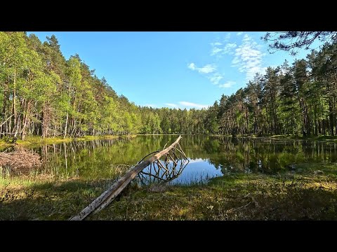 Видео: Алоль, Зверино, Чёрное, Ясское, Соинское, Долосцы, оз.Алоль, Крупейское, Глыбошня, Спастер,Черничено