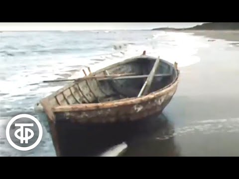 Видео: Зимний берег. Документальный фильм (1983)